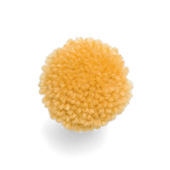 Y005d