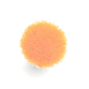Y008d