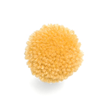 Y009d