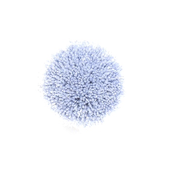 B005d