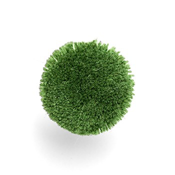 G010d