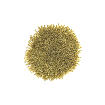 G012d