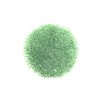 G019d
