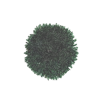 G025d