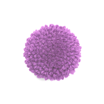 P005d
