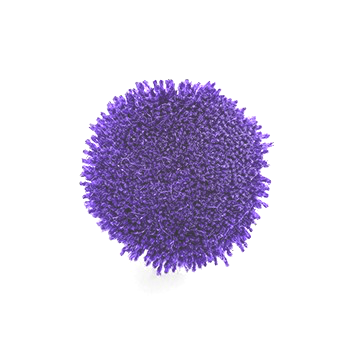 P012d