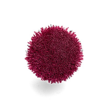 P022d