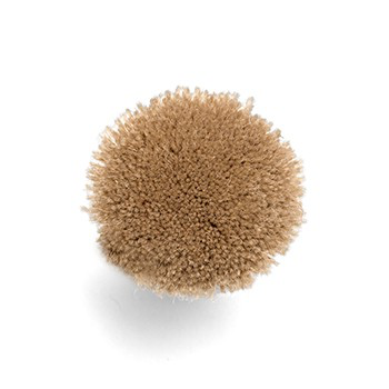 BR015d.png