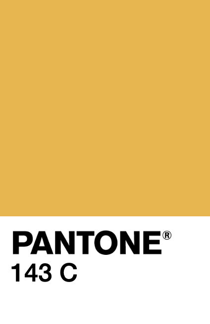 Y005d-pantone.png