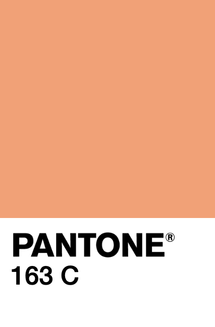 Y008d-pantone.png