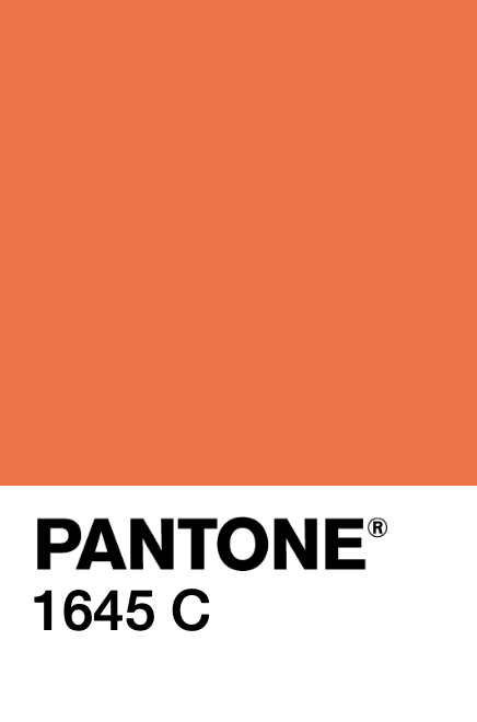 Y013d-pantone.png