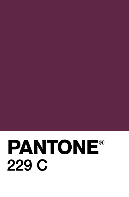 P016-pantone.png