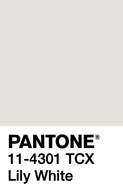 W004d-pantone.png