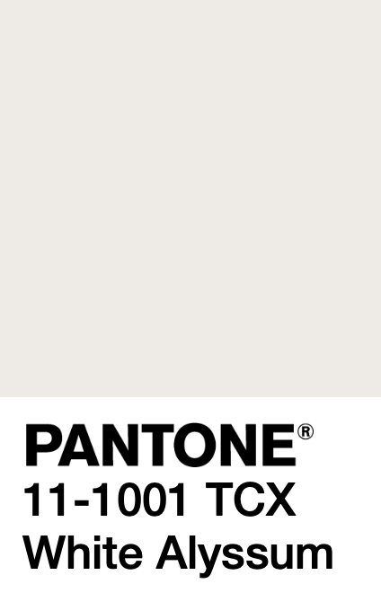 W005d-pantone.png