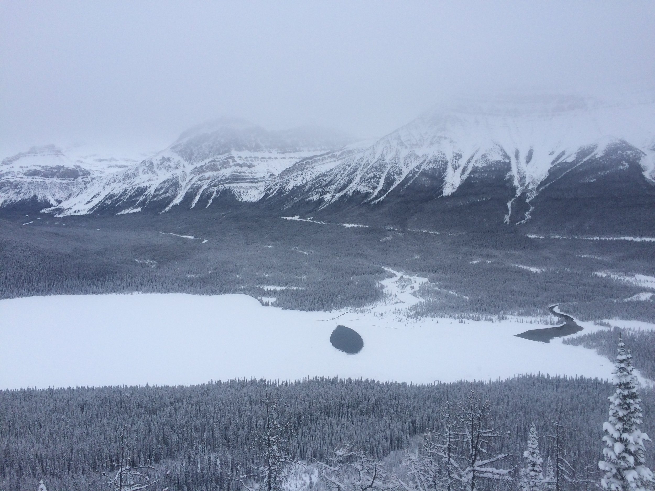 Two patches of open water