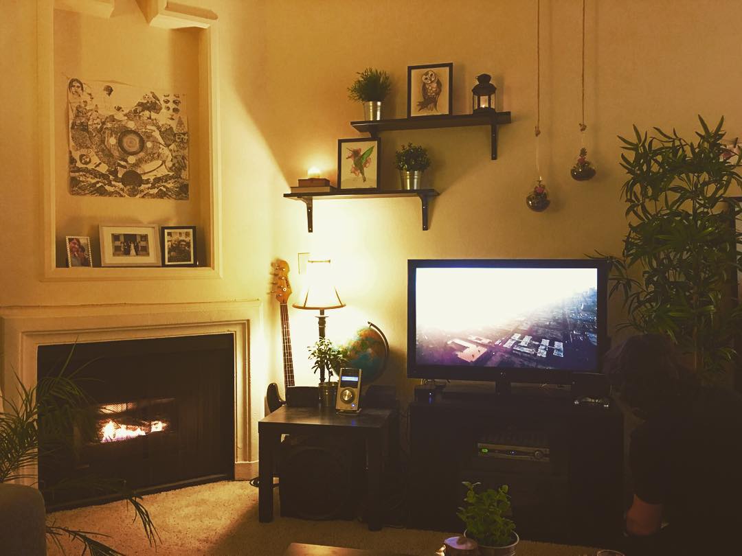 Making changes in 2015! We had just finished hanging the shelves/terrariums in our living room.