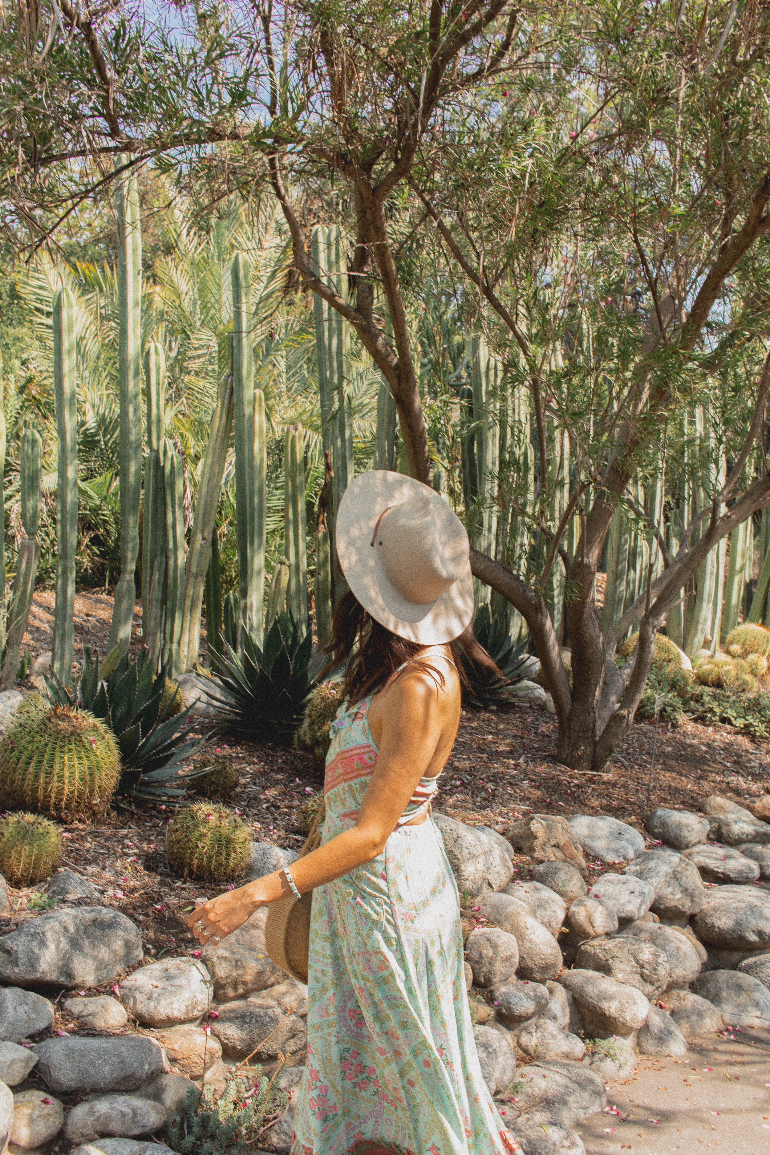 huntington library desert garden