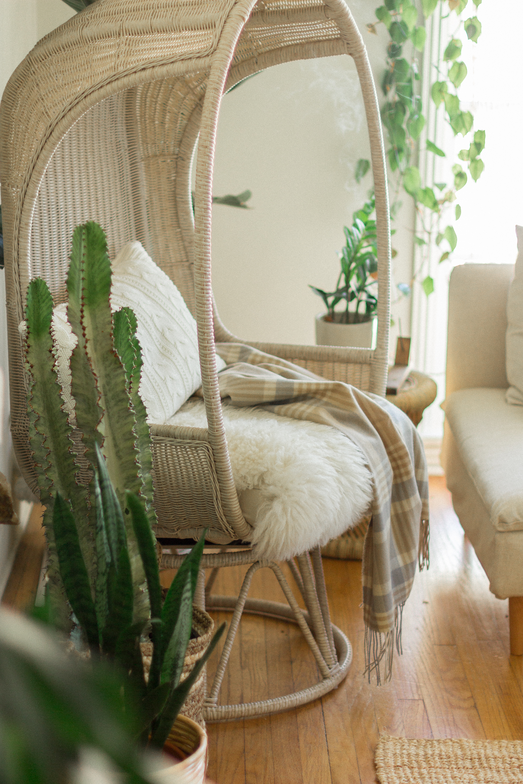 Holiday Home Refresh Black Blooms