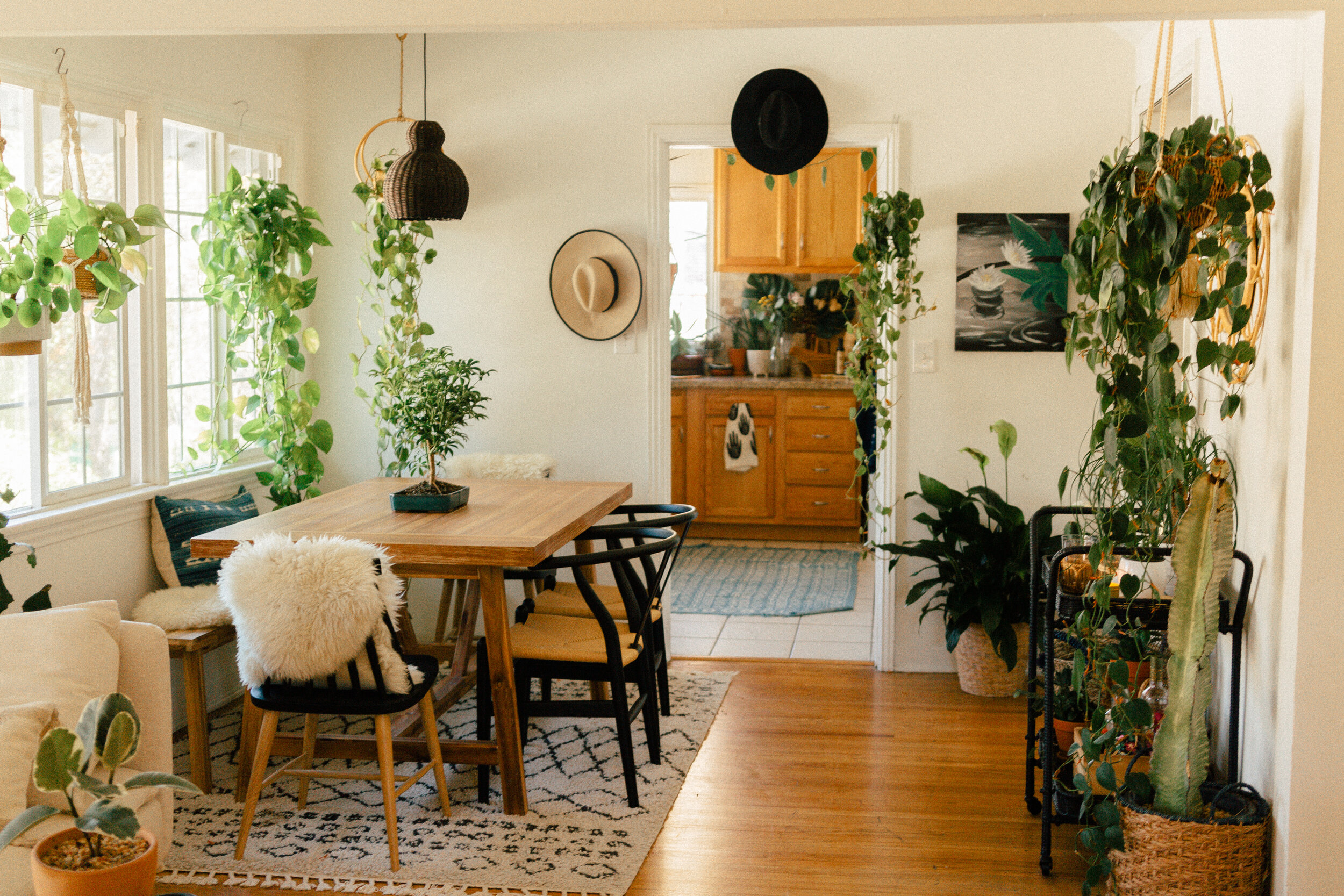 Creating A Plant Oasis At Home Black