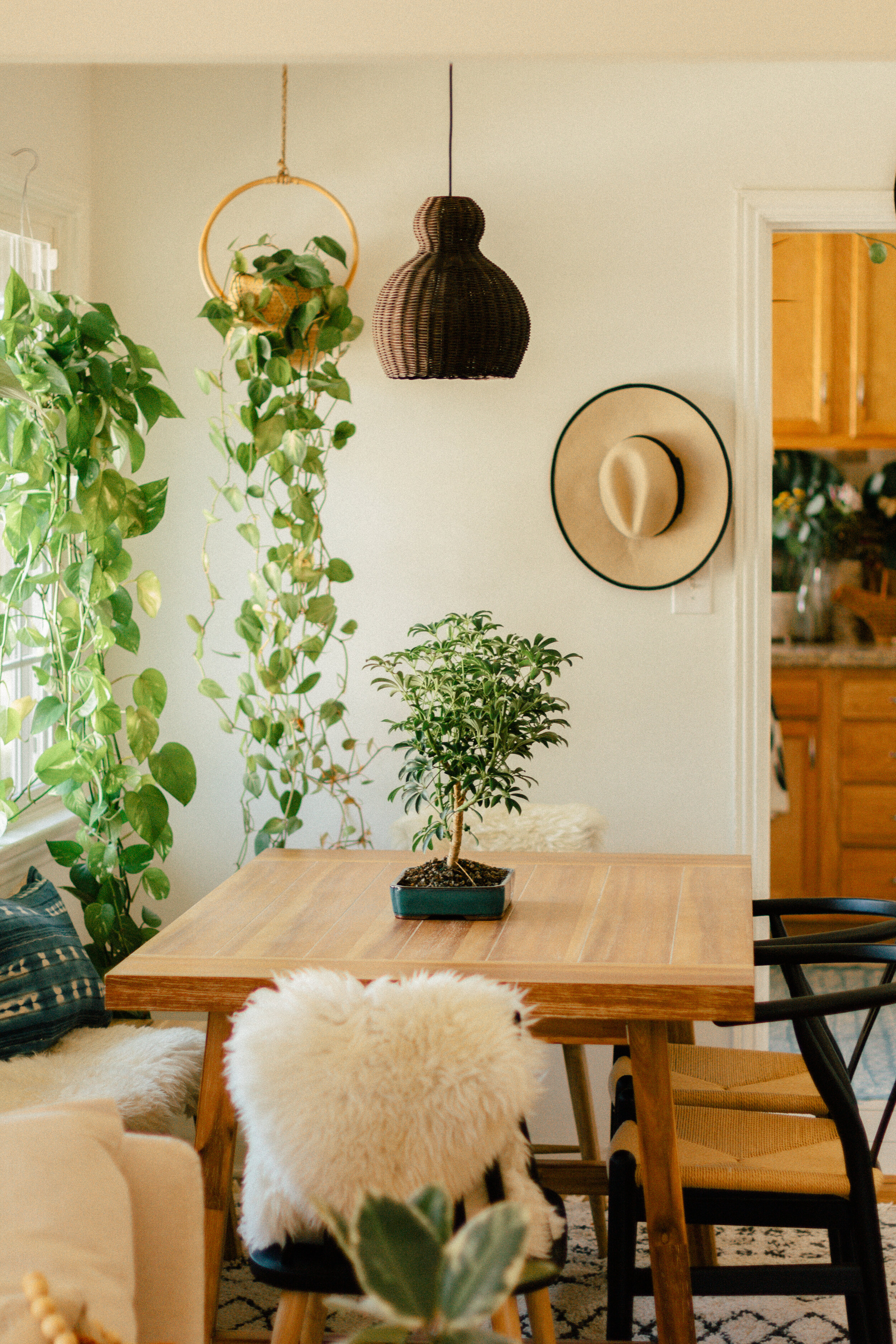 Creating a Plant Oasis Home — black blooms