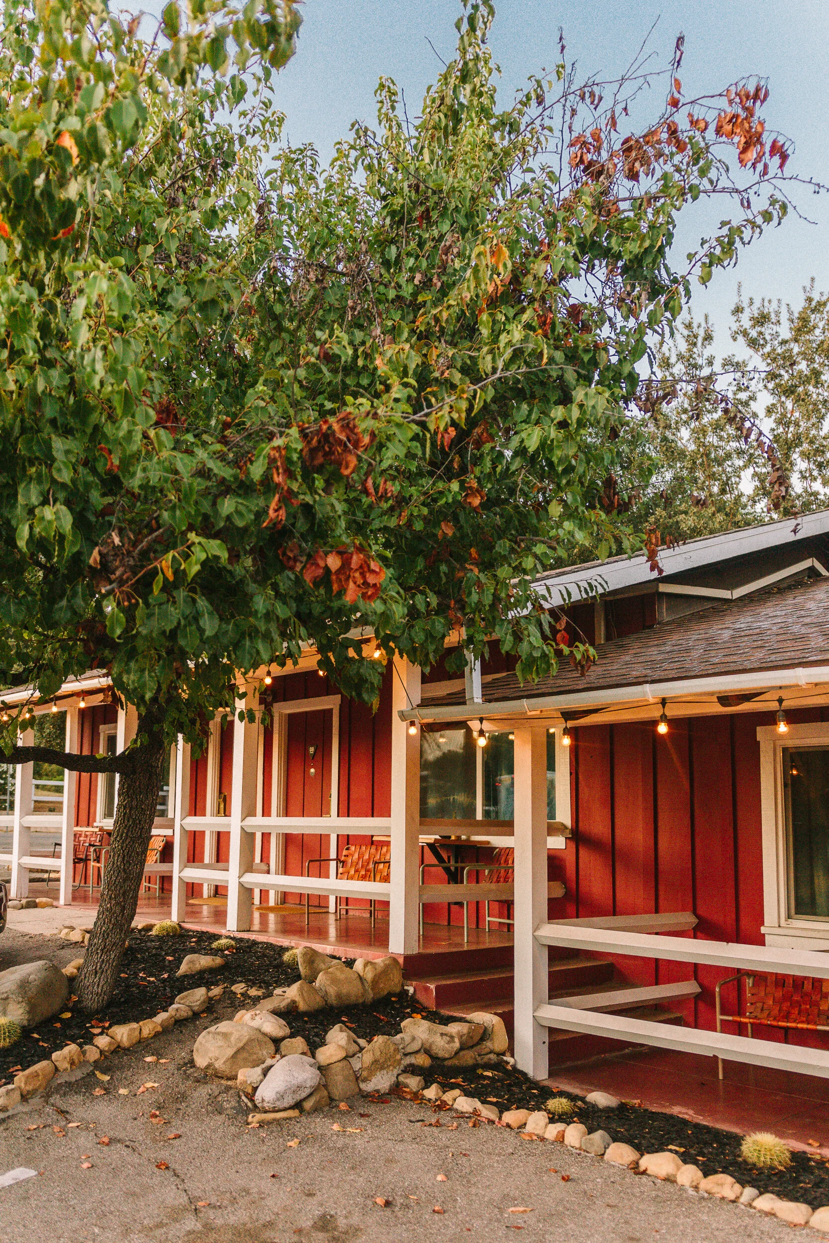 Solo Trip to Ojai — Black & Blooms