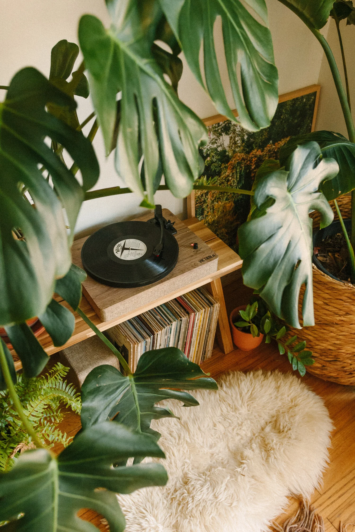 Creating a Jungle Record Corner — black & blooms