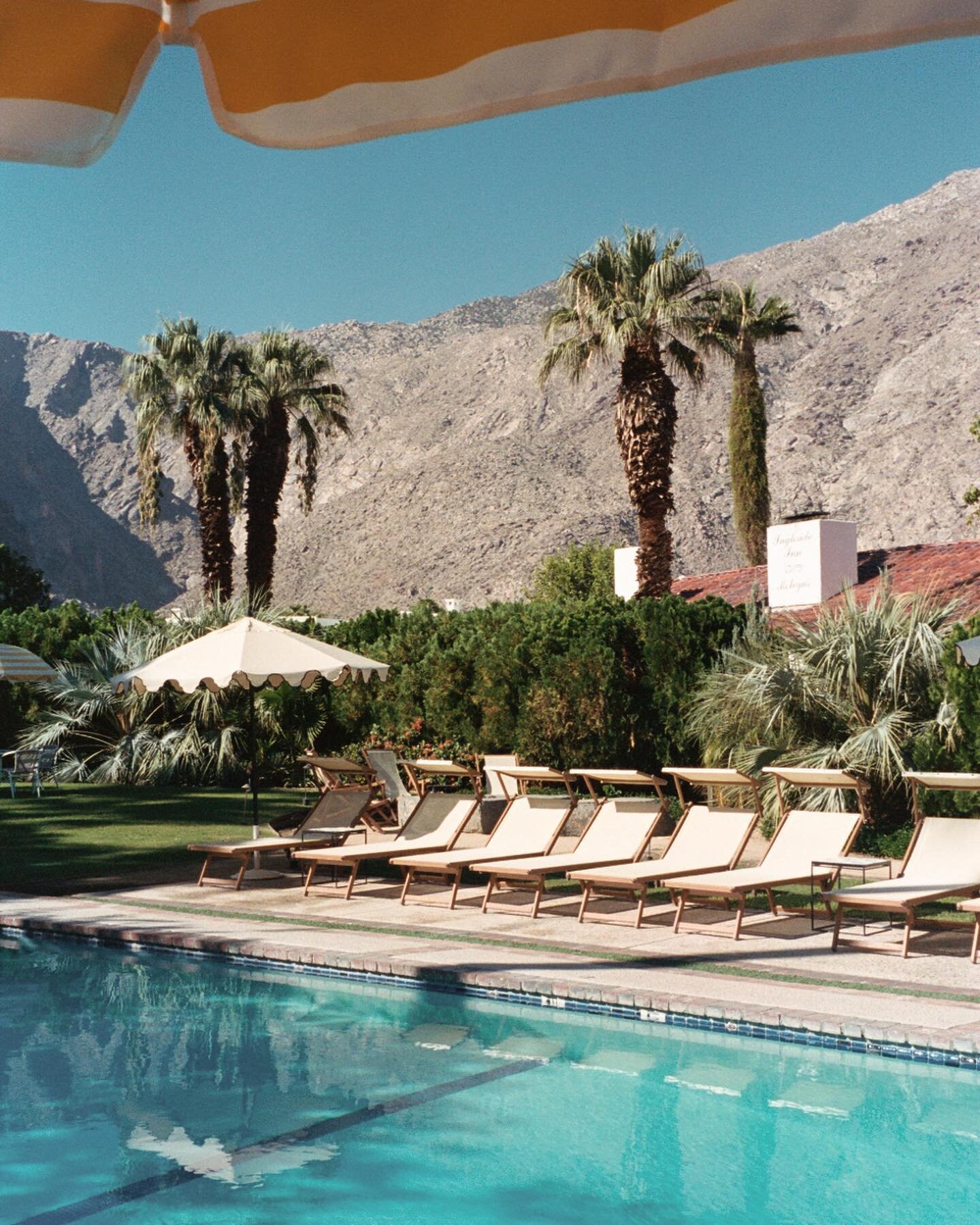 The Best Plant Shops in Los Angeles — black & blooms