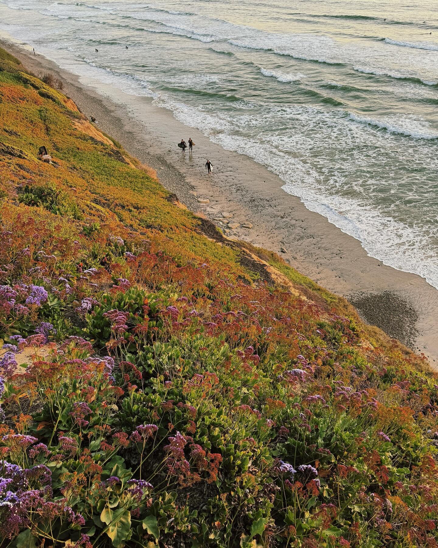 sweet encinitas 🌿 spent a few nights here this week and didn&rsquo;t want to leave! a beautiful botanic garden, cutie coffee shops, and sunset walks to the ocean 💫