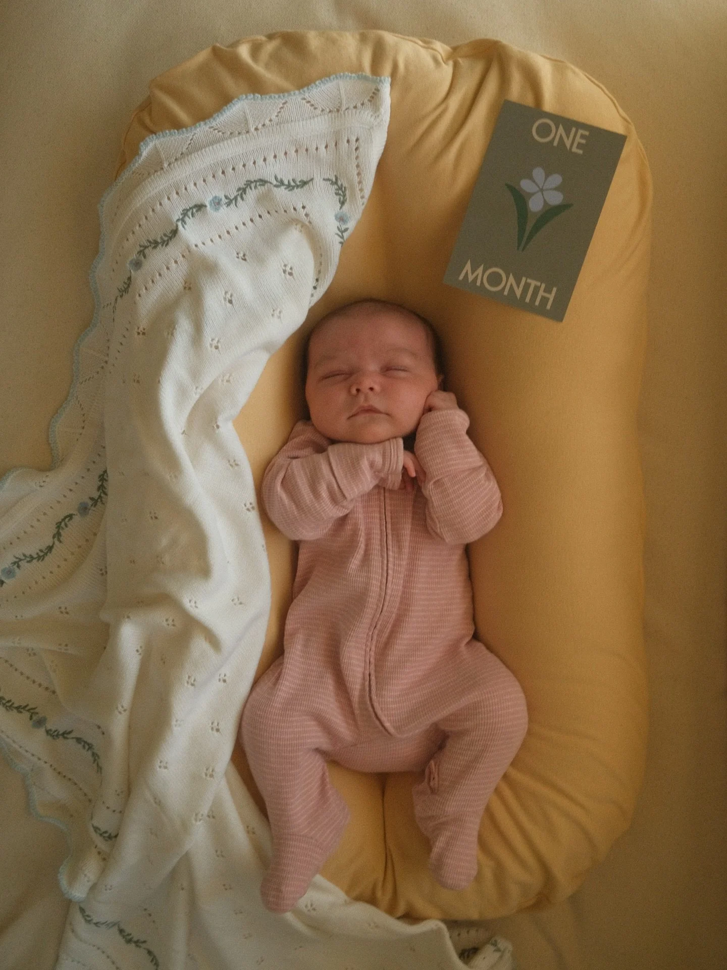 celebrating one month of elsie this week 🥲 my little love!