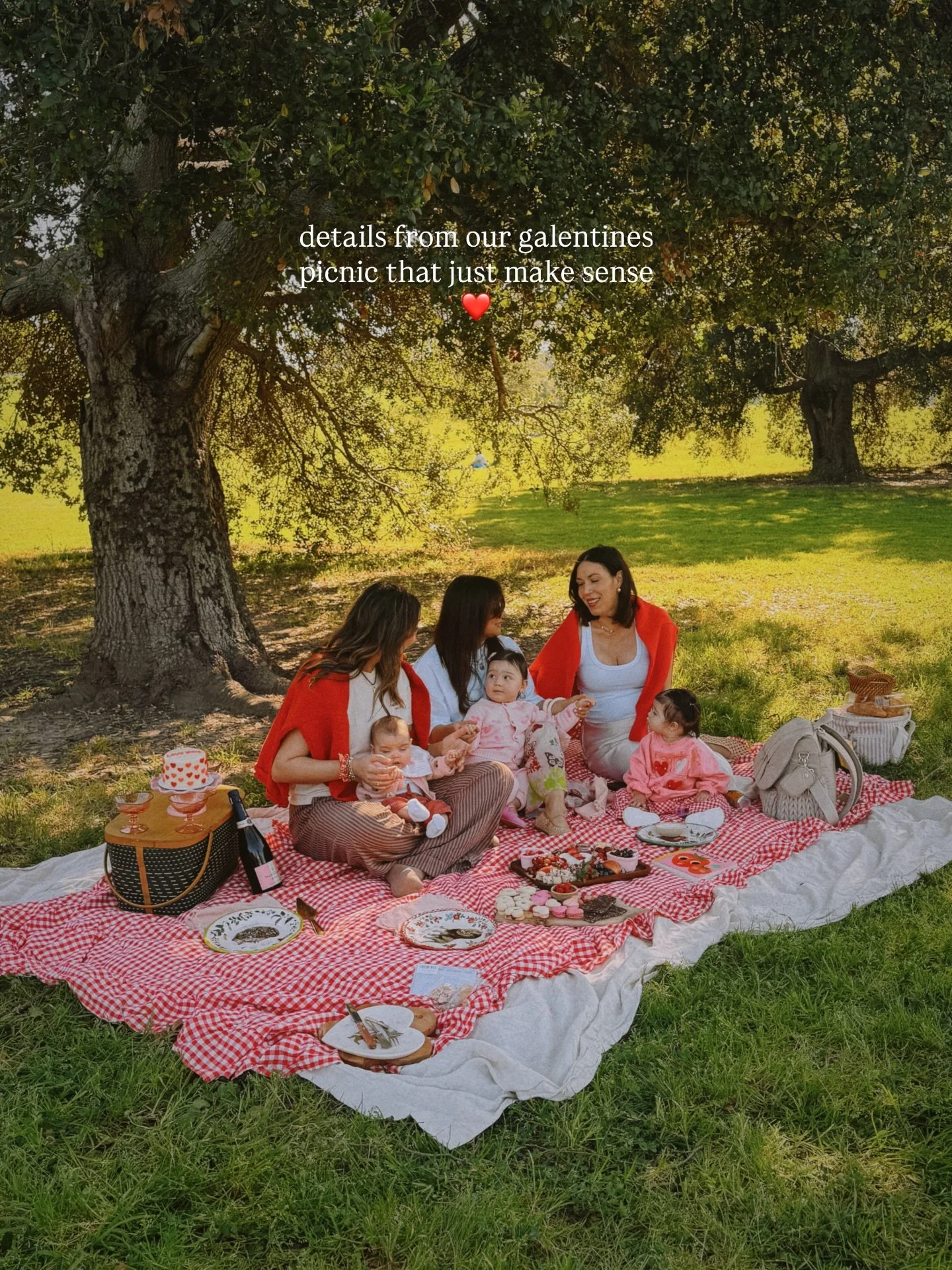 your sign to have a cutie little galentines picnic ❤️