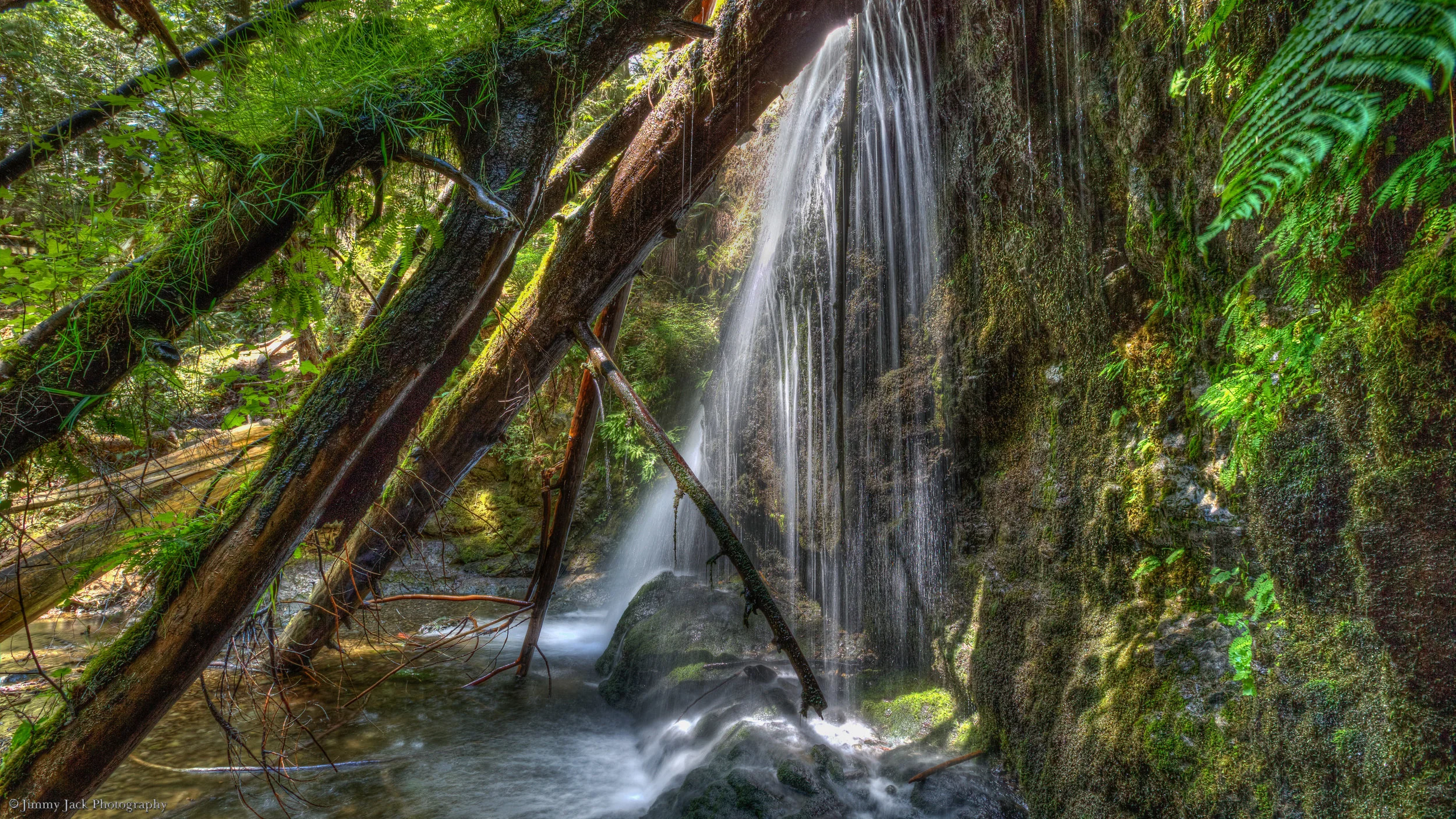 IMG_8748-Cascade Falls, San Juan Islands untitled.jpg