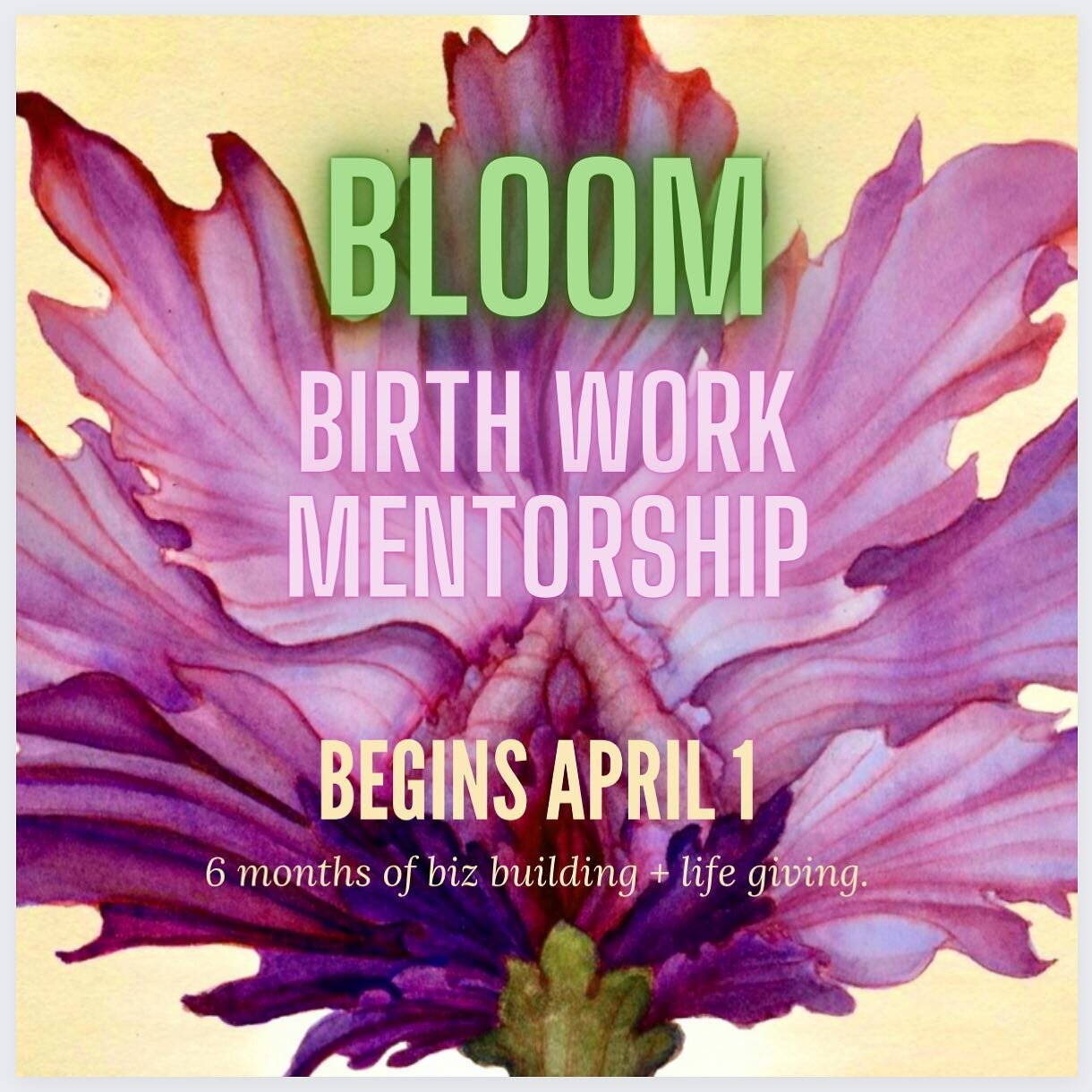 🌸 Happy Springtime! 🌸

Omg what a relief!&nbsp;I'm feeling the call, as we come out of hibernation, to allow my&nbsp;desire to hold space for a birthwork mentorship to BLOOM. I'm envisioning a&nbsp;small group where we can support + uplift each oth