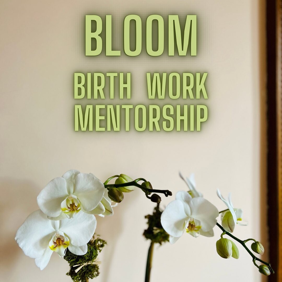 BLOOM Birth Work Mentorship - v2.0 🪷 Join me this SUNDAY, FEB 5th @ 12-1pm EST for a FREE info session. Bring your bright ideas, goals, visions and questions, and I’ll bring my wisdom and open heart to help you along your birth work path. All