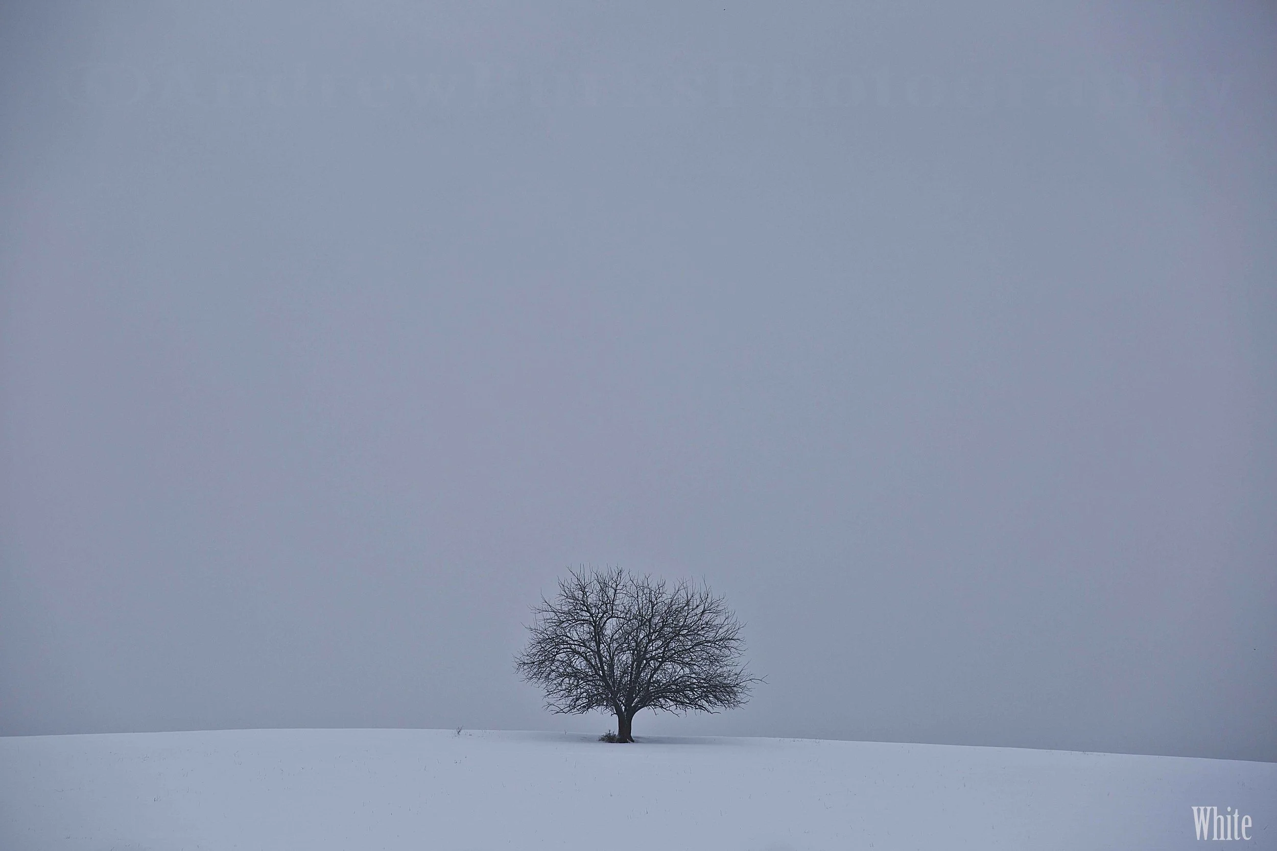 _16B8766-2 copy.jpg