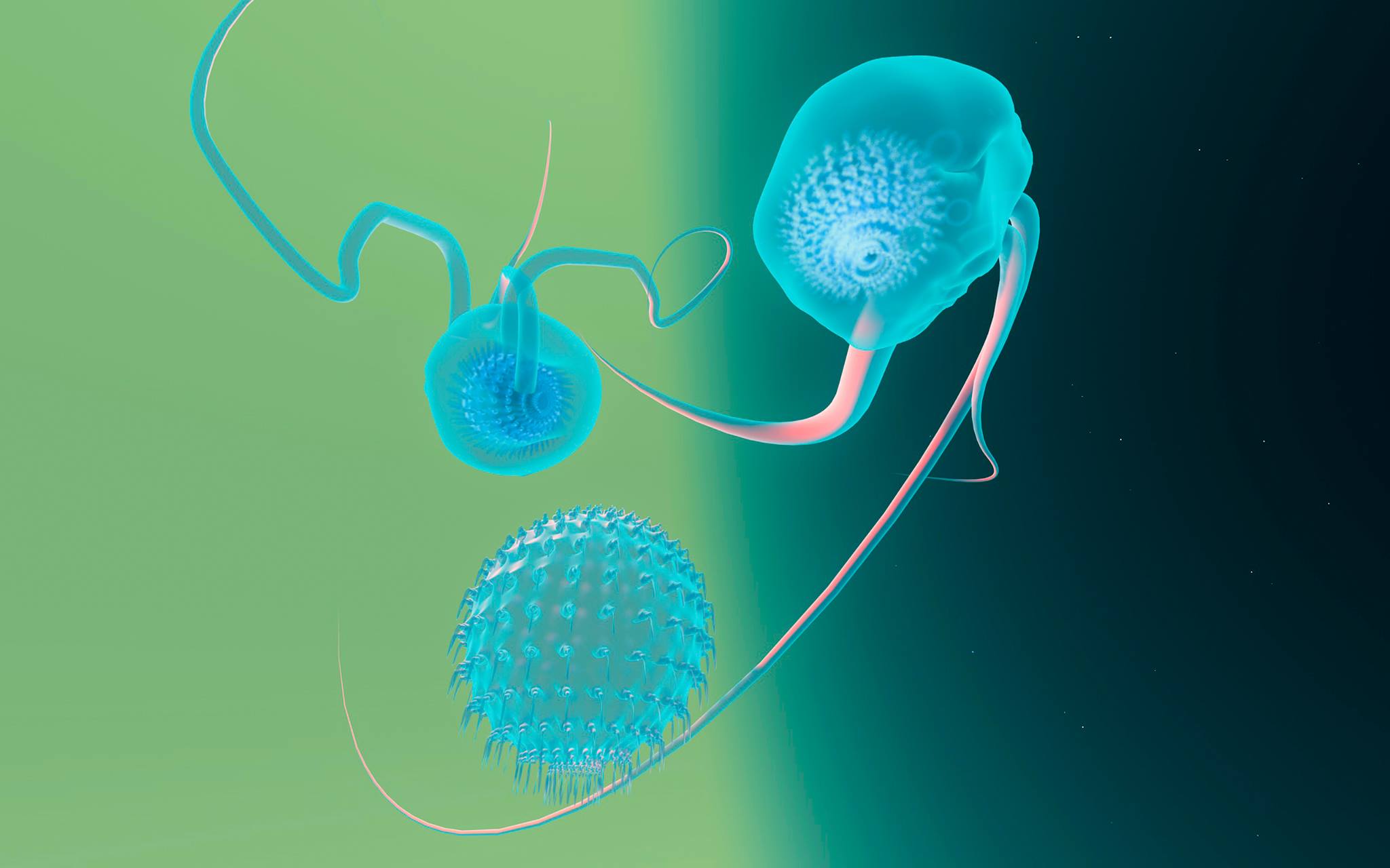 Cell talk
