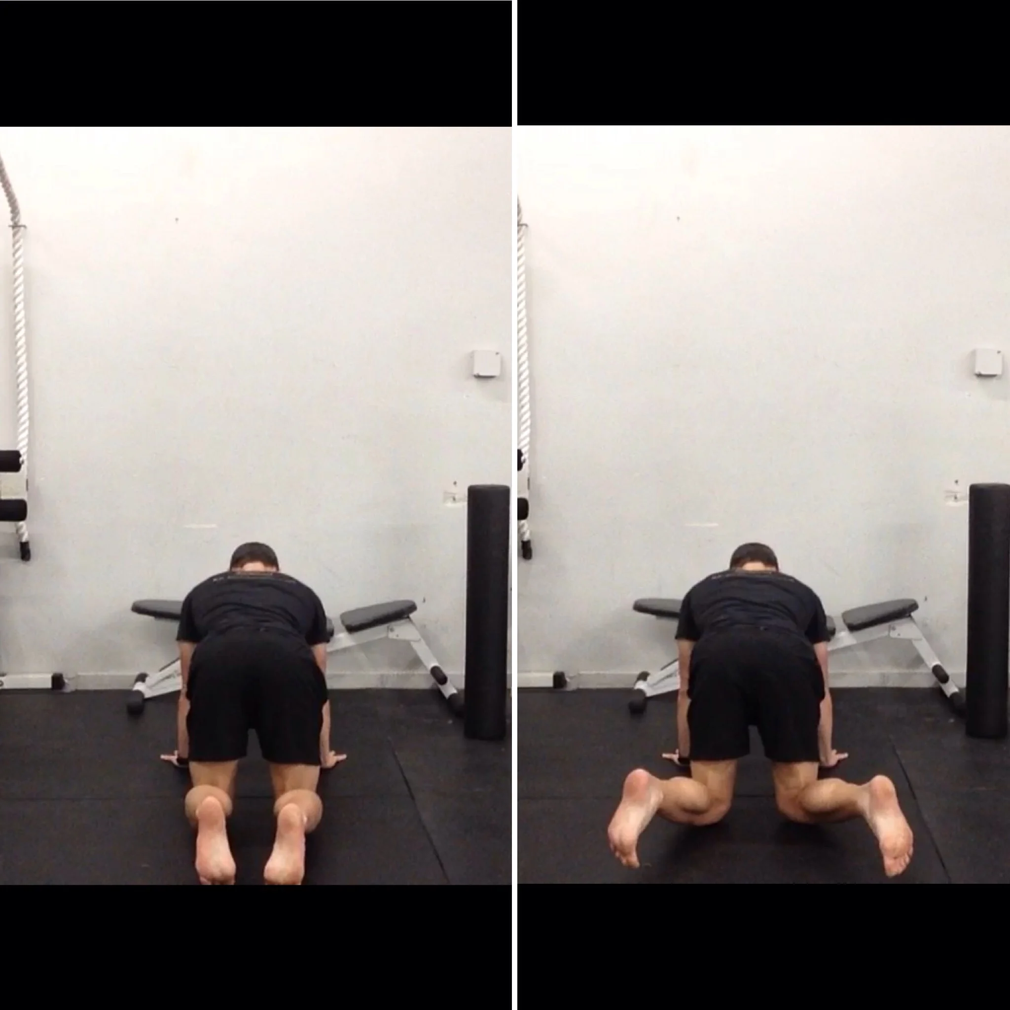 Quadruped Hip External Rotation