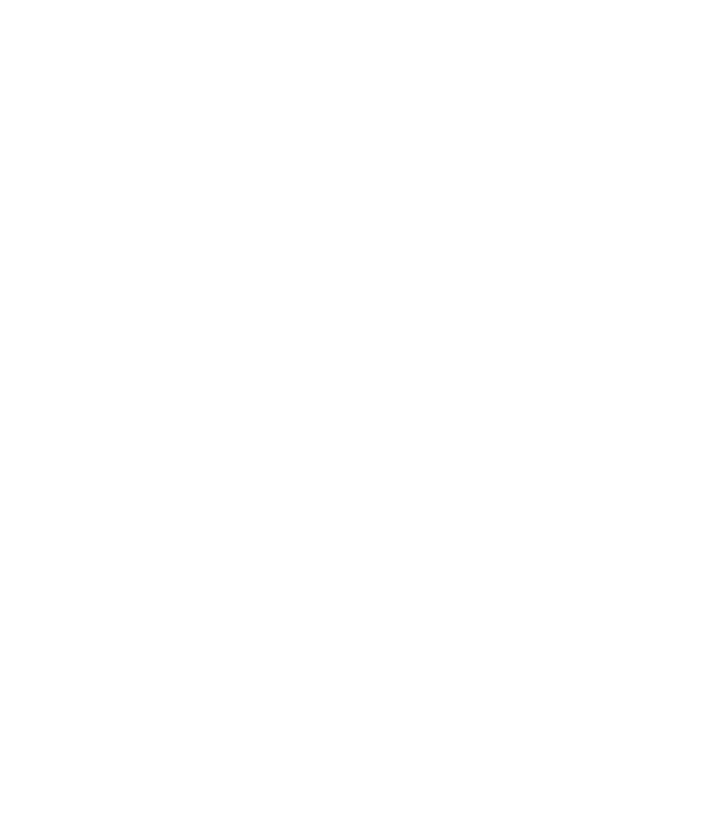 TB&P: The Beat & Path