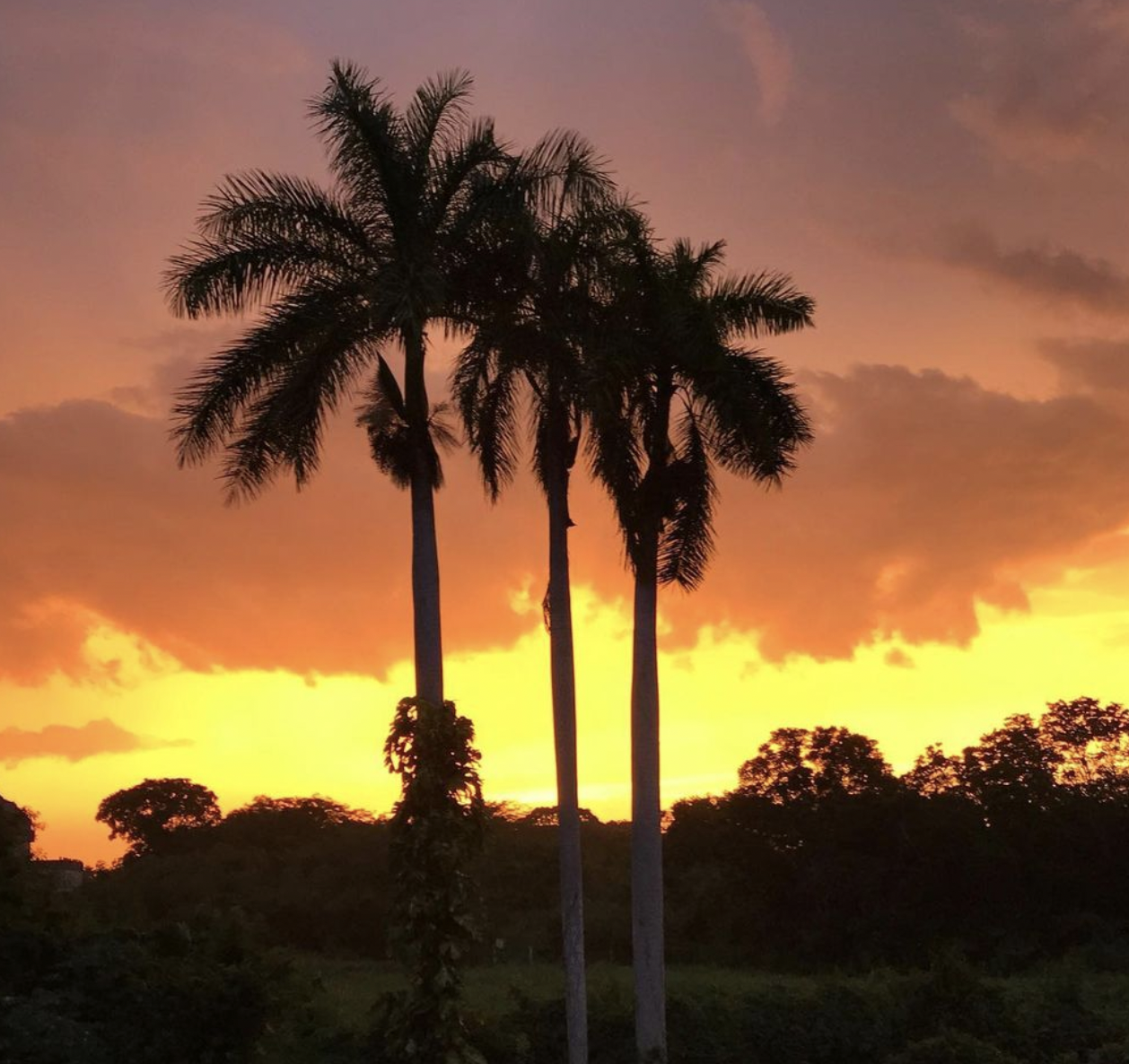 Mayaland Hotel & Bungalows | Chichén-Itzá | Mexico | Sunset.png