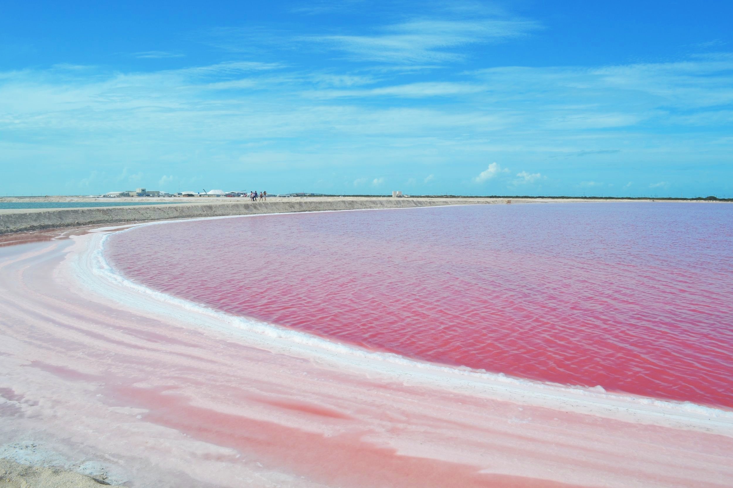 Las+Coloradas+%7C+Mexico+%7C+Pink+Lake.jpg