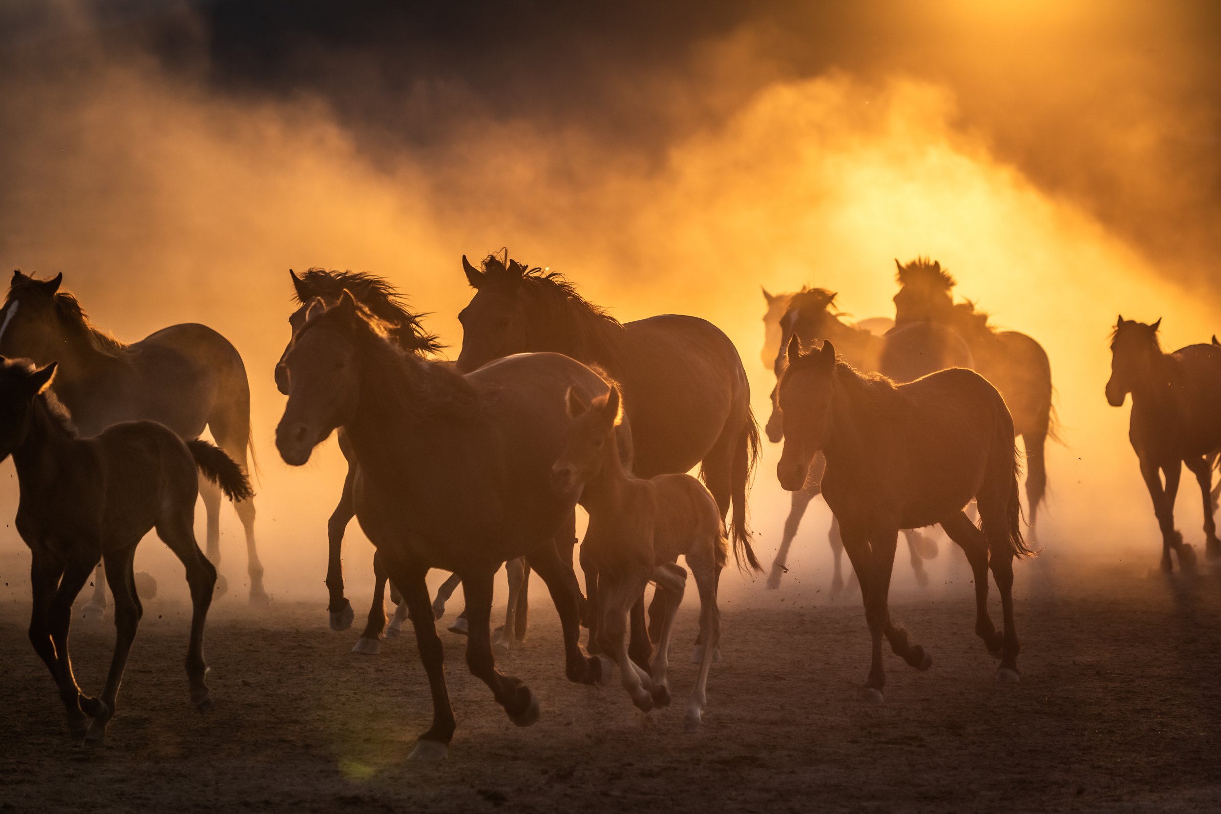 Cappadocia | Turkey | Horse | Travel | June.jpeg