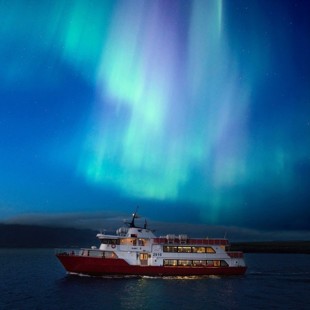 Elding Whale Watching | Ship | Night Sky.jpg