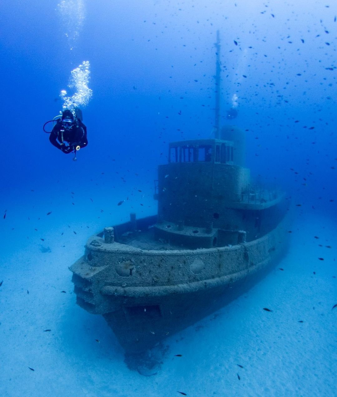 Maltaqua | Diving | Malta | Sunken Ship.jpg