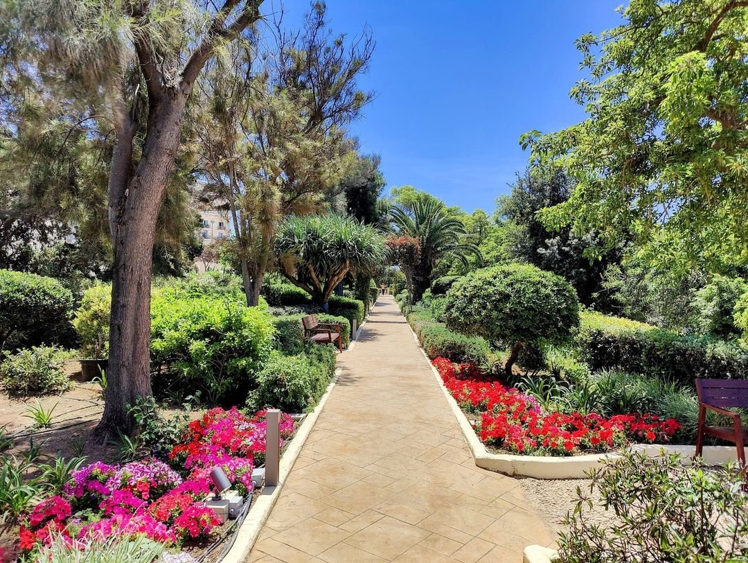 The Phoenicia Malta | Hotel | Garden.jpg