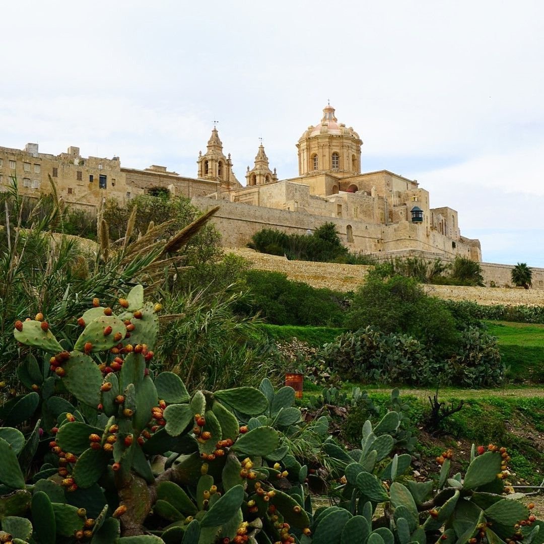 The Xara Palace | Malta | Hotel | Gardens.jpg