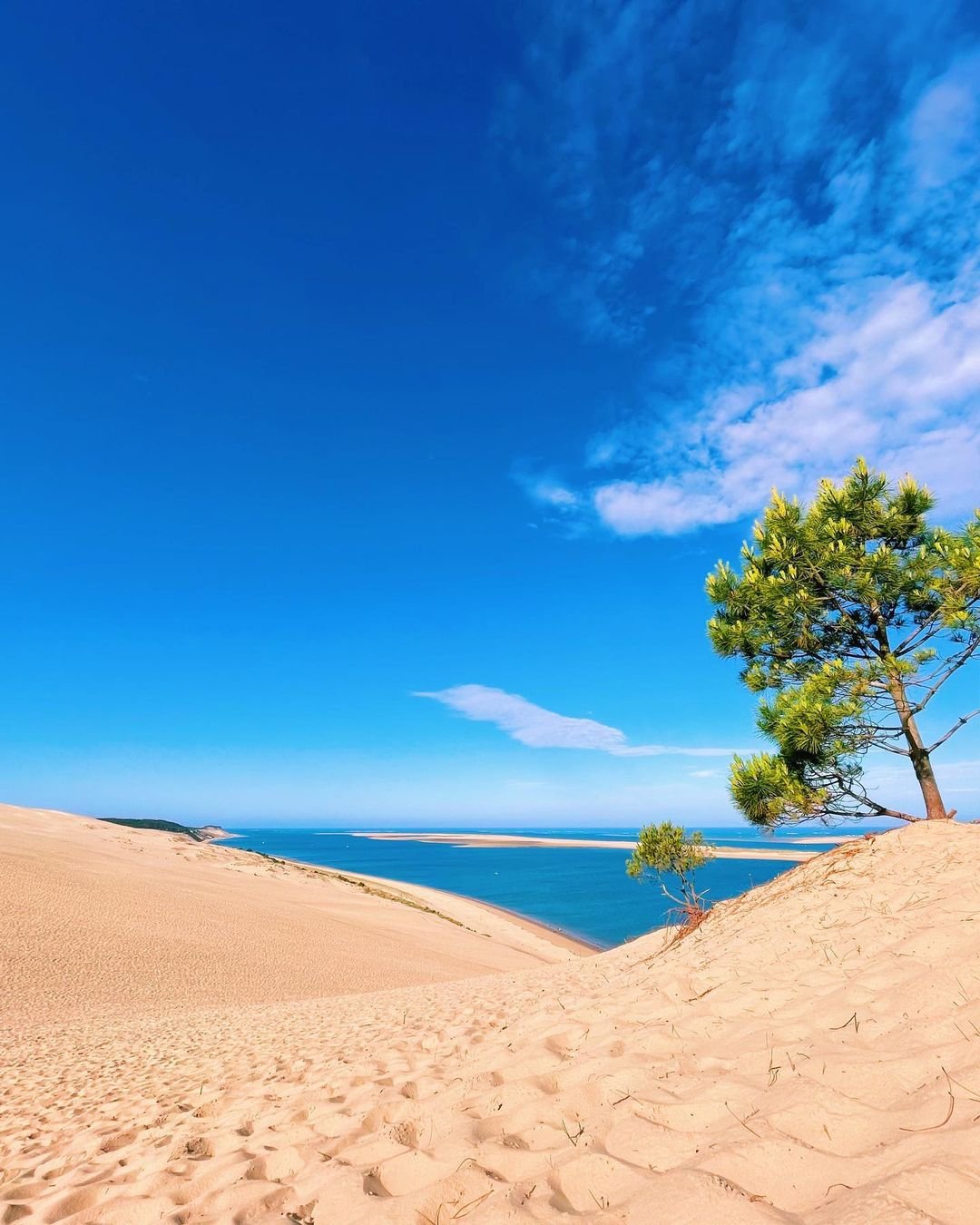 Dune du Pyla | View | Ocean.jpg