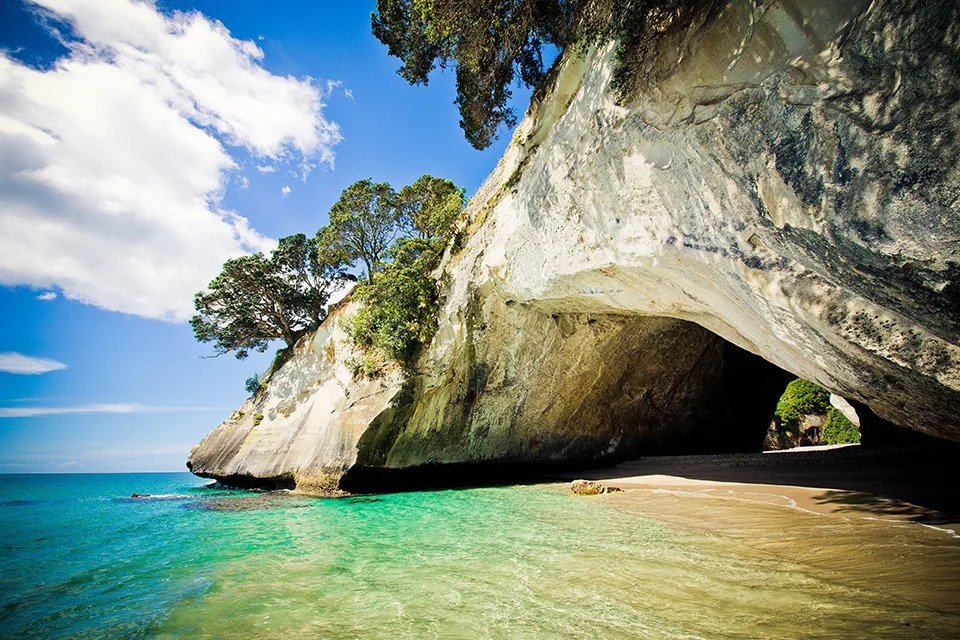 New Zealand Beaches.jpg