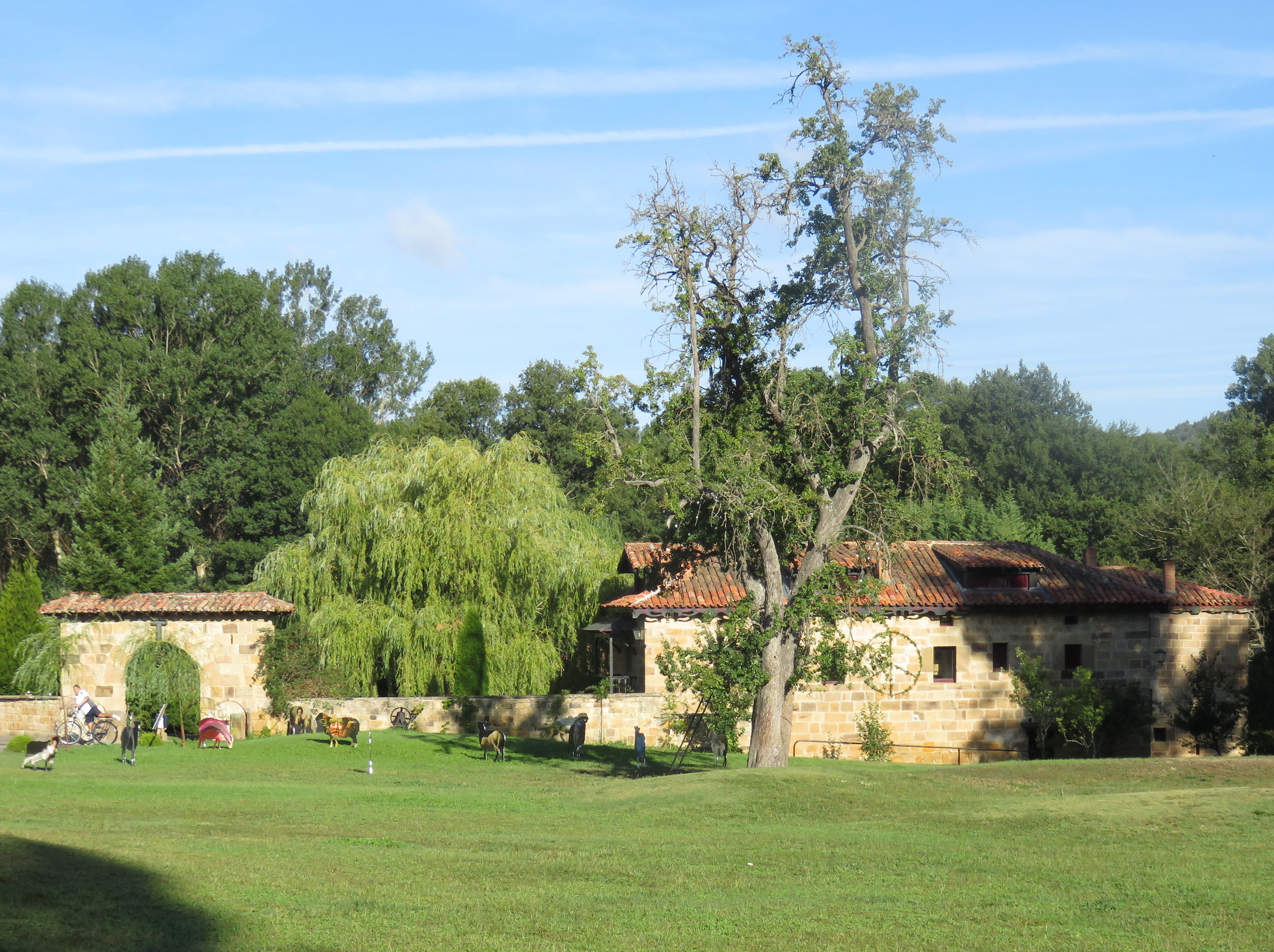 Copy of IMG_7425 copy.JPG