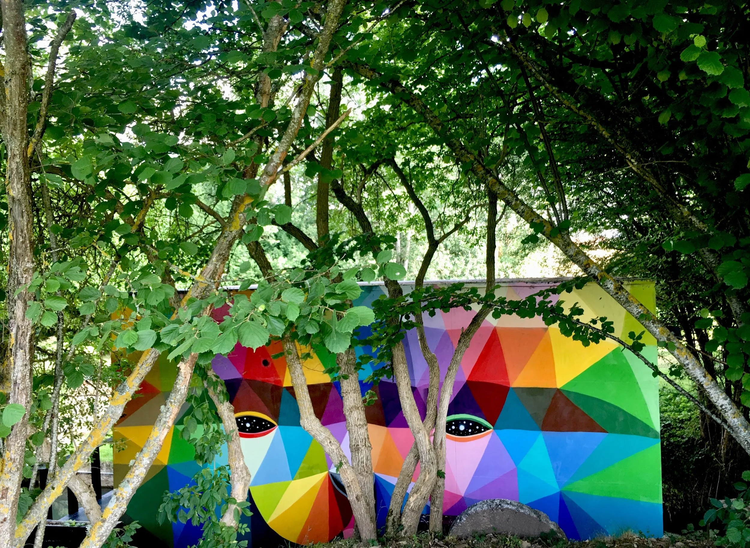 Copy of IMG_4146.jpeg