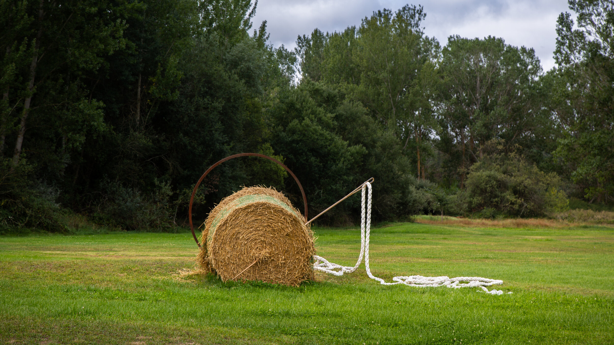 NeedleInHayStack2-©NathanDeHart-1.jpg