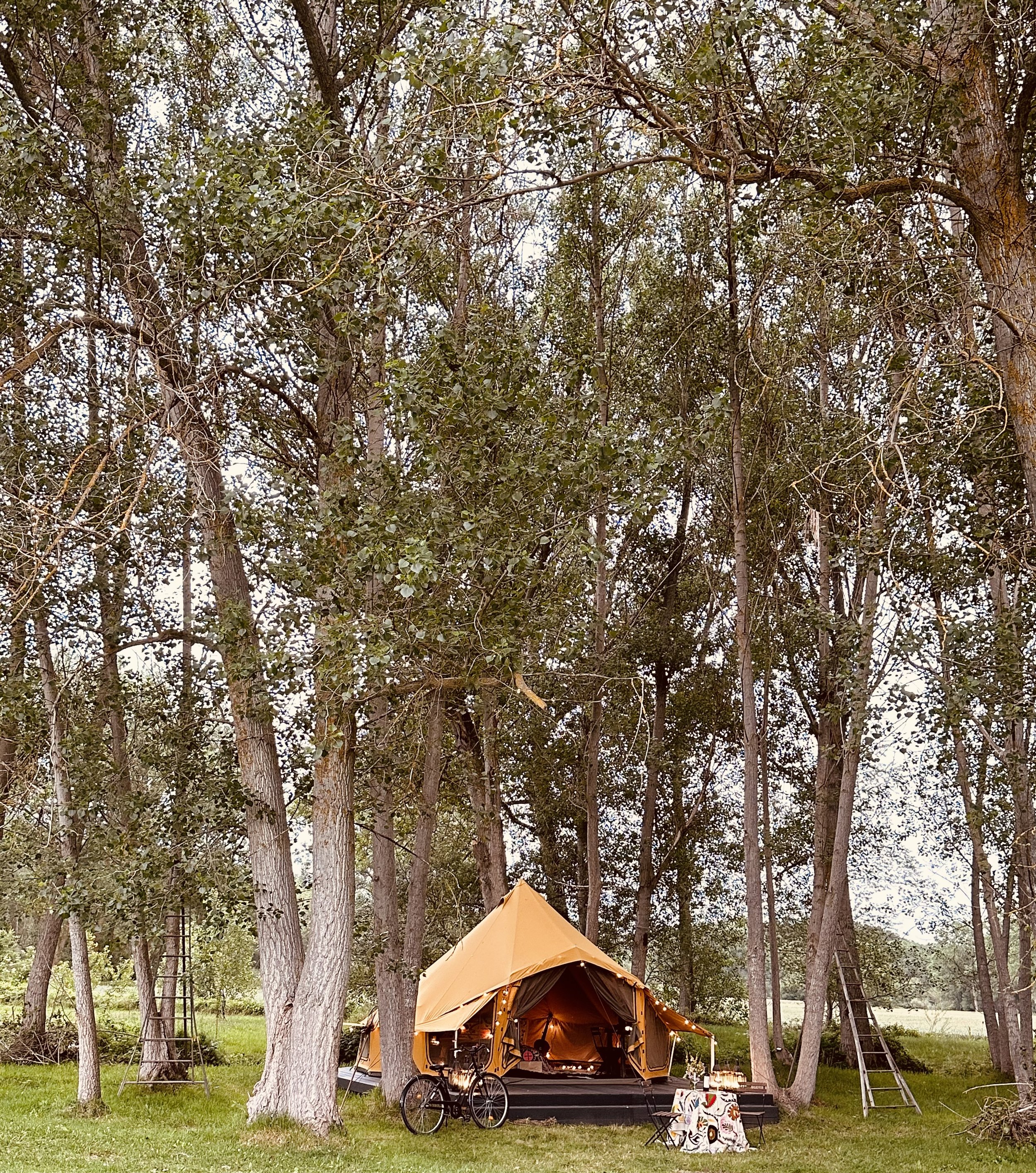 GLAMPING1.jpg